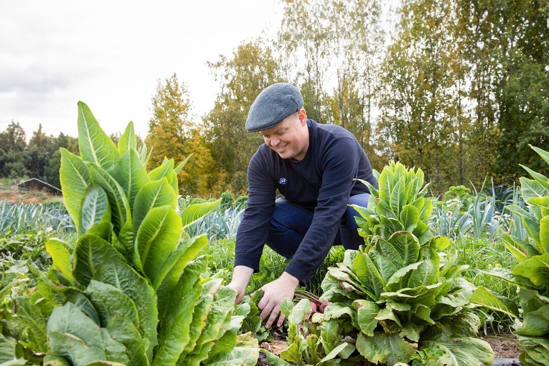 Web_Desktop-2024_ISS_FI_Chef i marken
