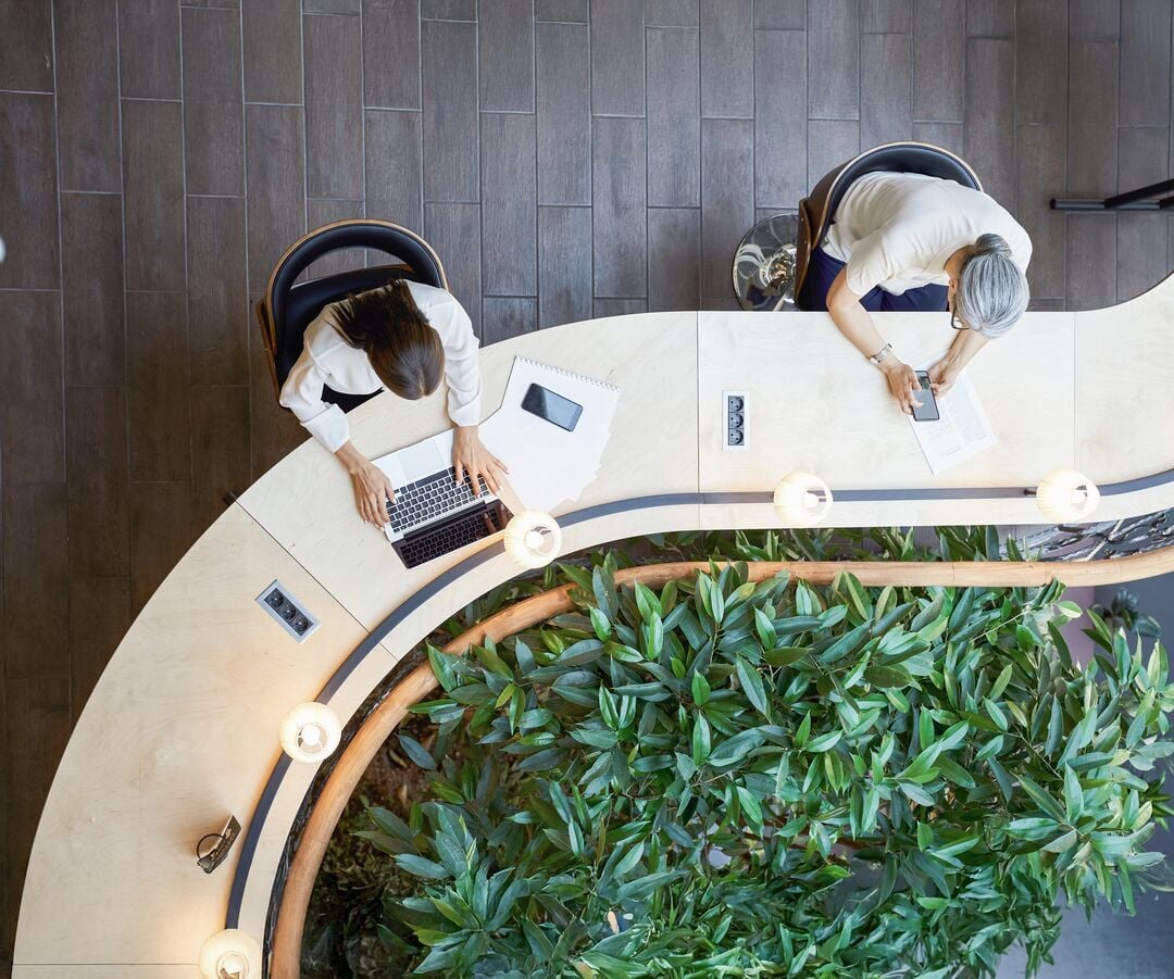 Web_Desktop-Ung studerende og voksen kvinde arbejder ved samme skrivebord