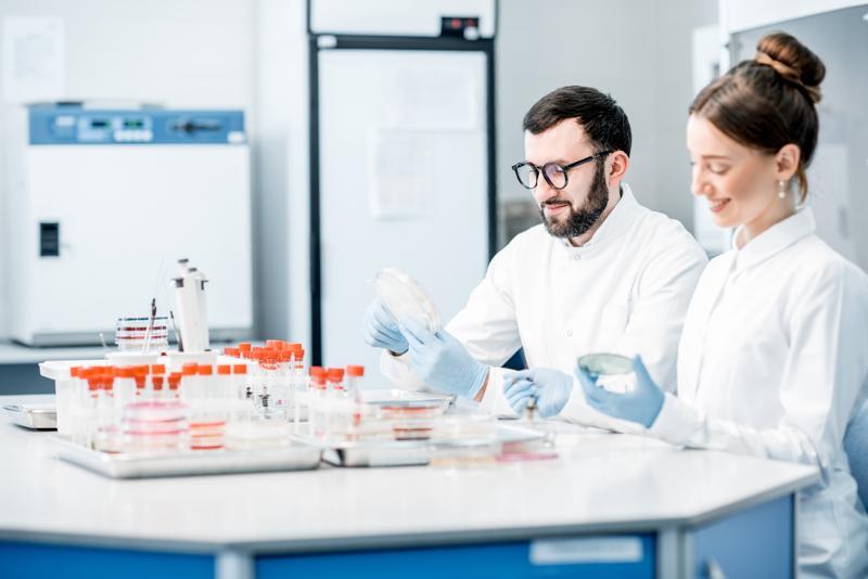 Laboratory assistants in the bacteriological department